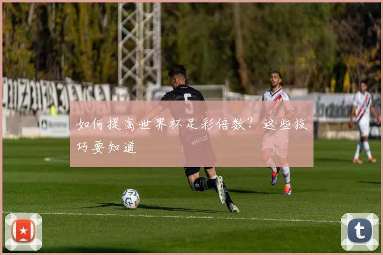 如何提高世界杯足彩倍数?这些技巧要知道
