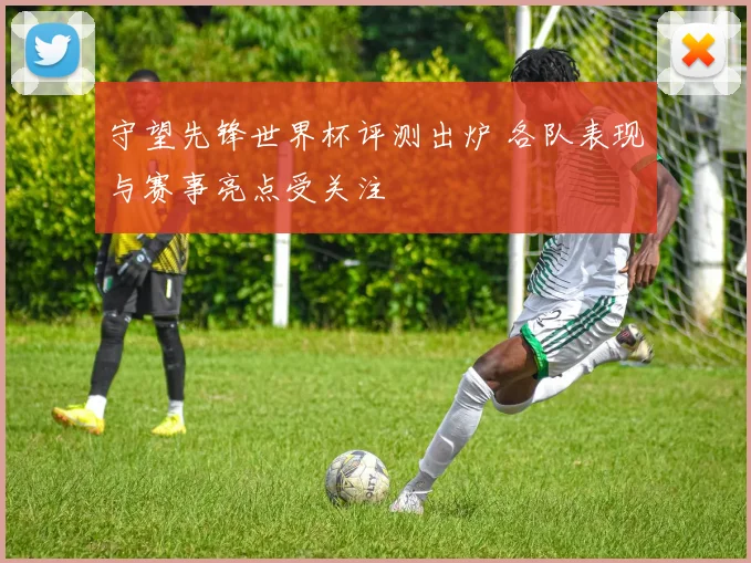 守望先锋世界杯评测出炉 各队表现与赛事亮点受关注