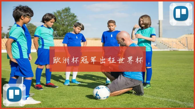 欧洲杯冠军出征世界杯