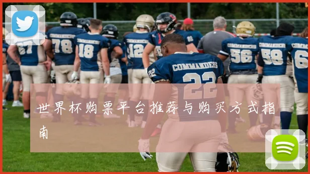 世界杯购票平台推荐与购买方式指南