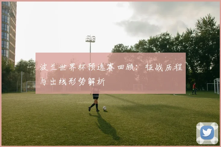 波兰世界杯预选赛回顾：征战历程与出线形势解析